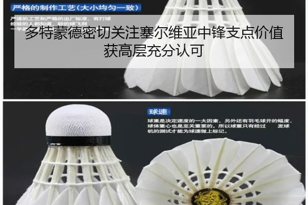 多特蒙德密切关注塞尔维亚中锋支点价值获高层充分认可